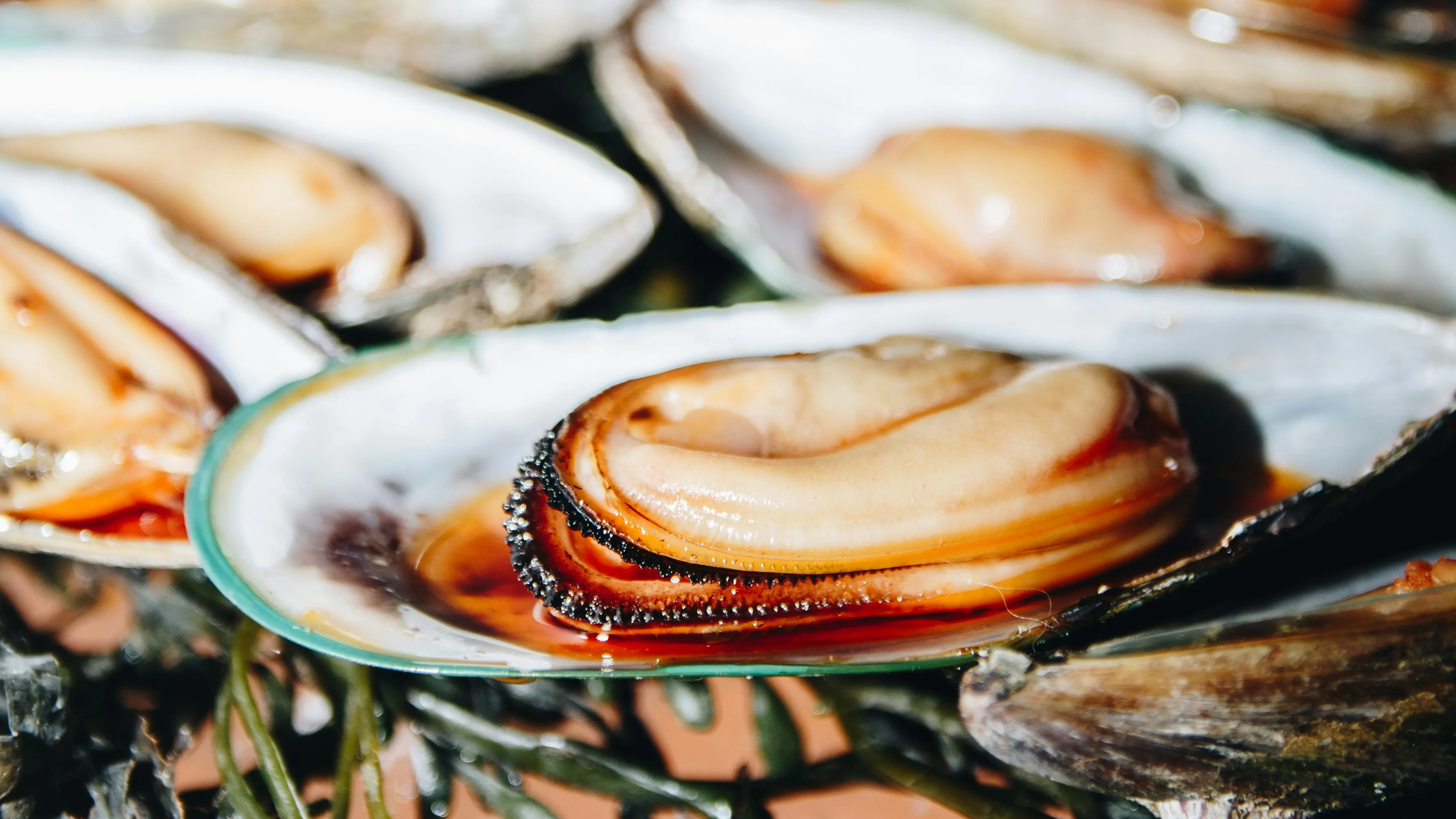 Epatite A in aumento in Italia: tra le cause principali il sesso e i cibi contaminati