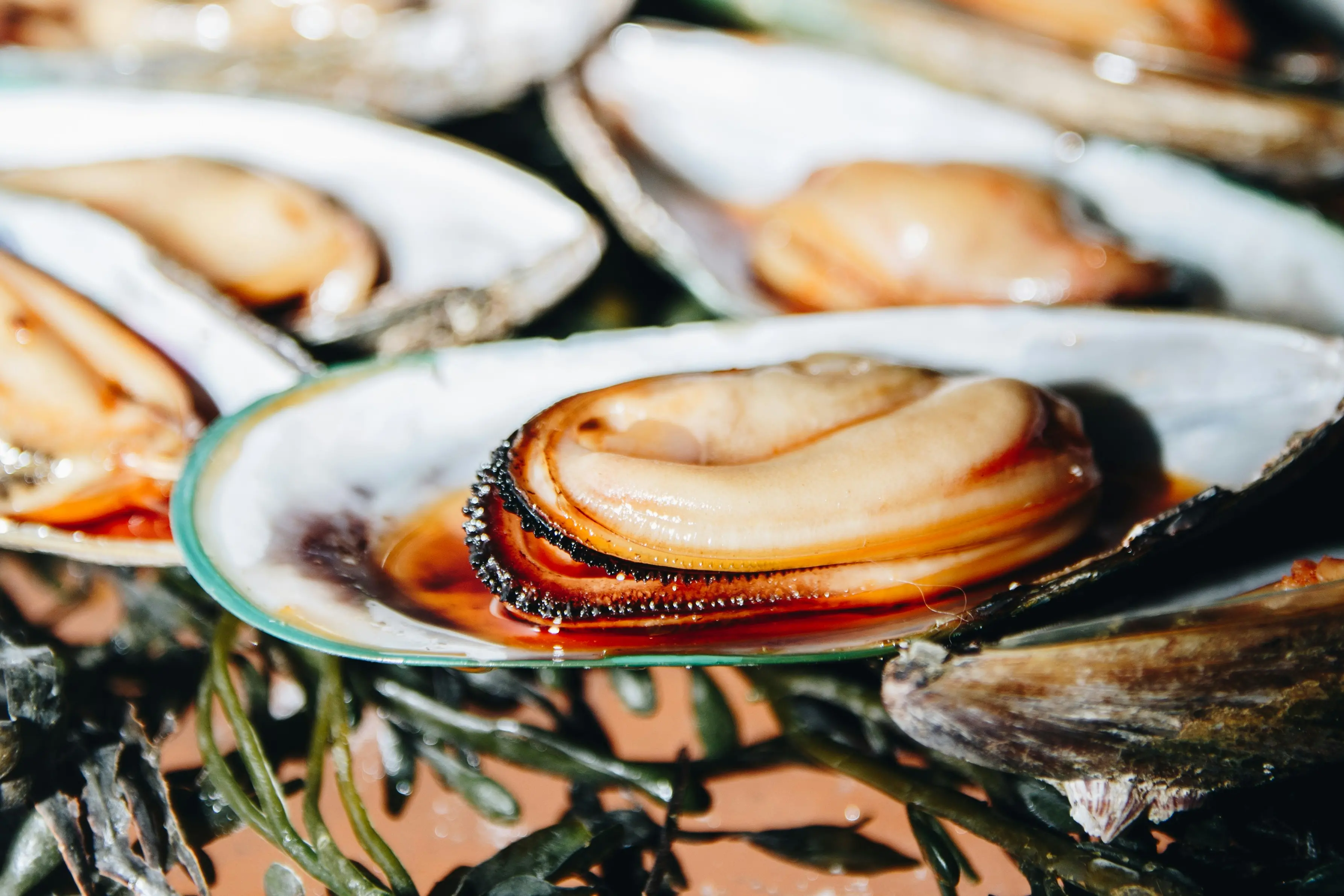 <p>Foto simbolo</p>\\n