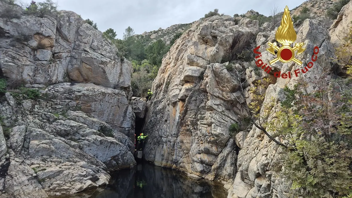 Vigili del fuoco in azione a Rio Pitrisconi: maxi esercitazione nei boschi