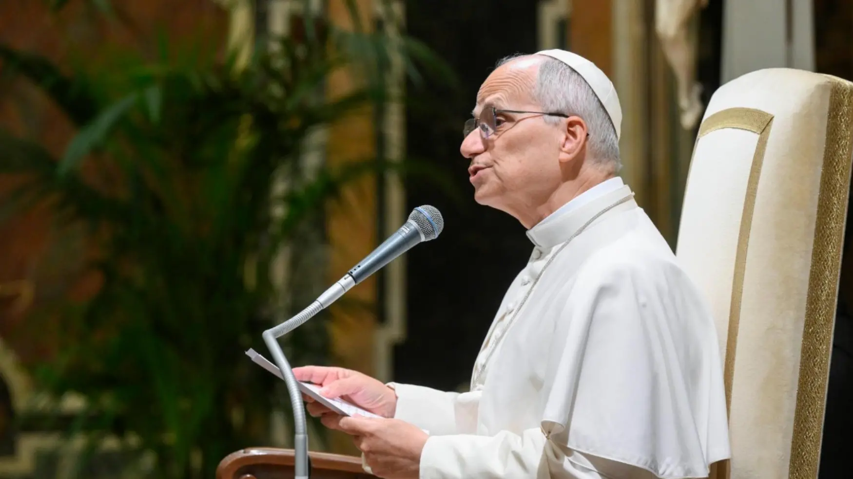 Papa Leone: \"Gaza? La soluzione è quella dei due Stati, Israele deve accettare\"