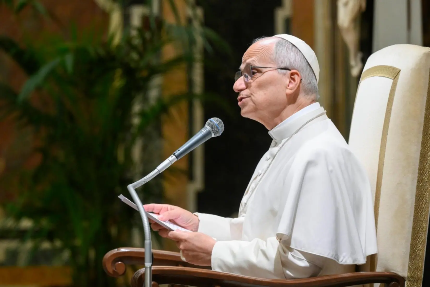 Papa Leone: \"Gaza? La soluzione è quella dei due Stati, Israele deve accettare\"