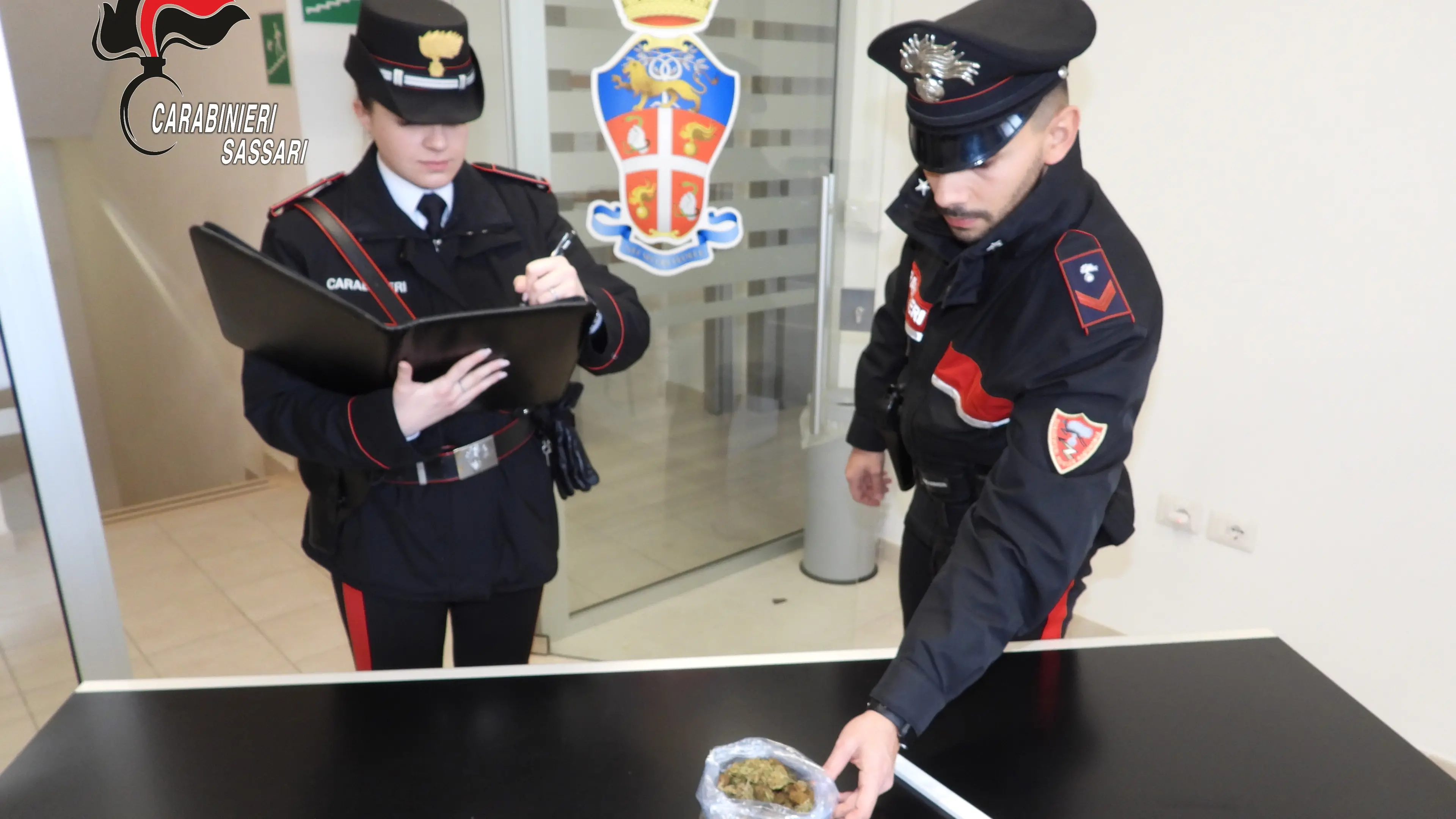 Blitz antidroga a Valledoria: arrestato un uomo con 100 grammi di marijuana e cocaina