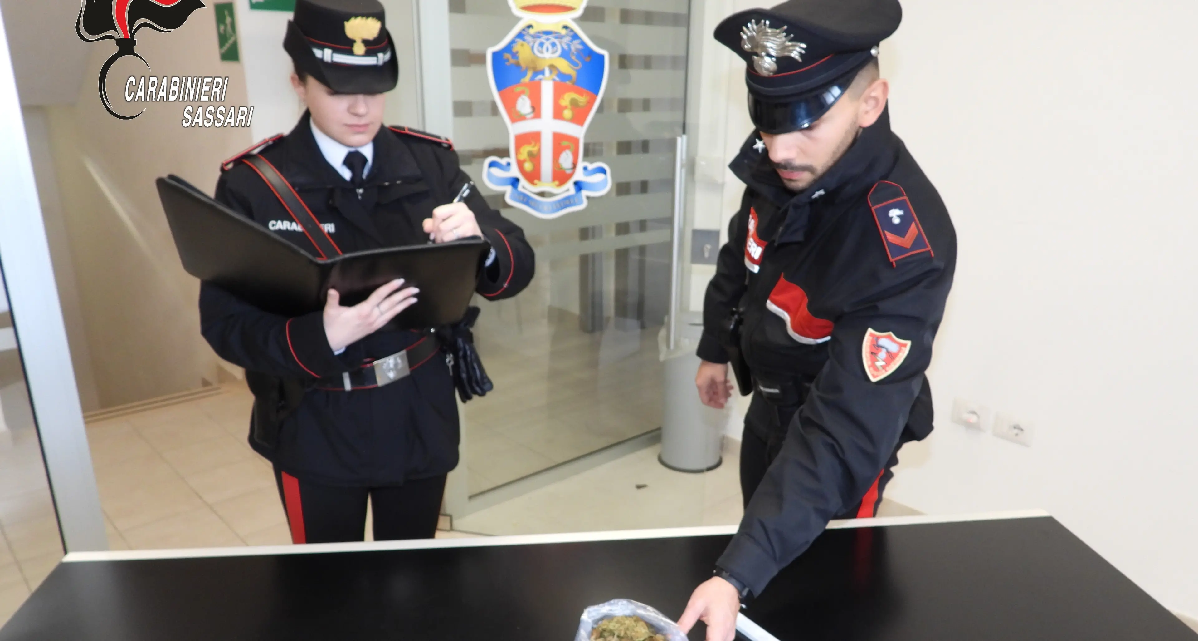 Blitz antidroga a Valledoria: arrestato un uomo con 100 grammi di marijuana e cocaina