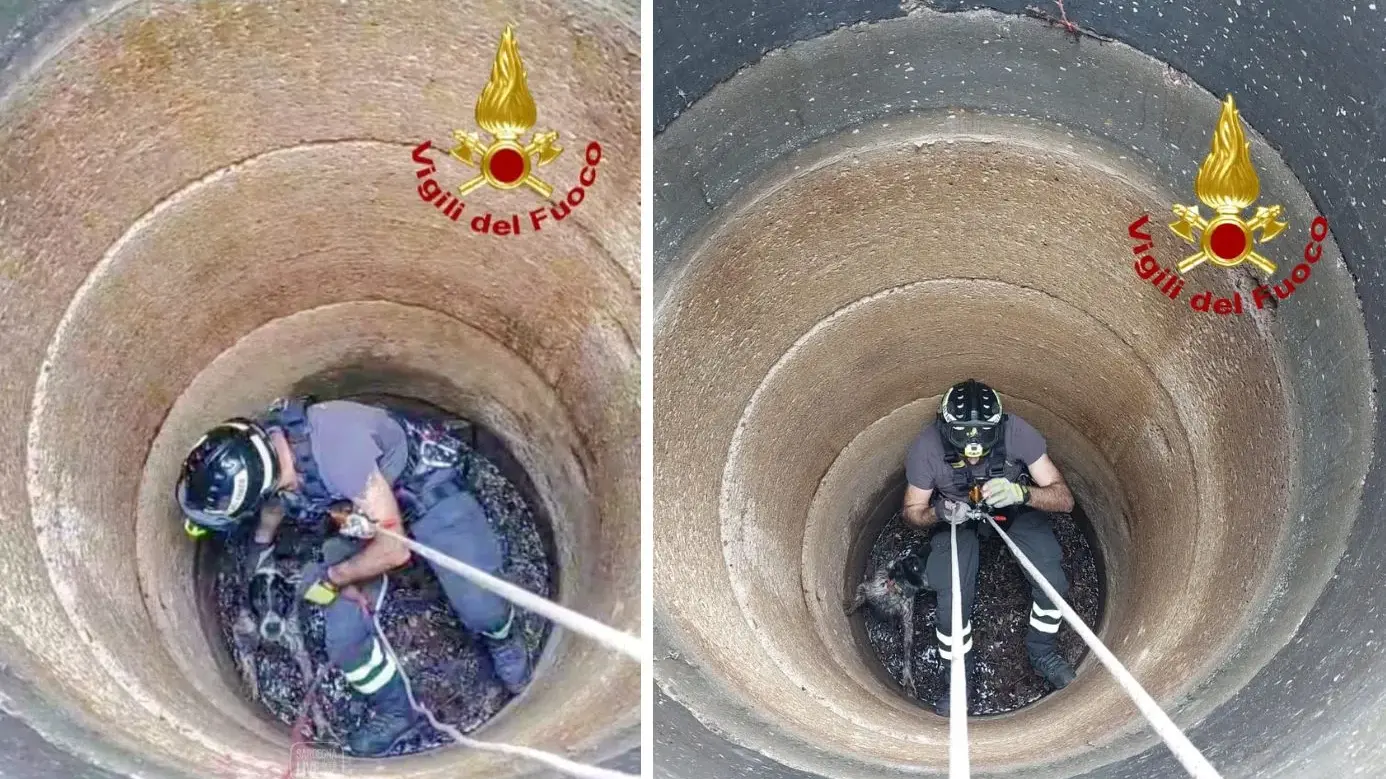 Benetutti. Cane cade in un pozzo: salvato dai Vigili del Fuoco