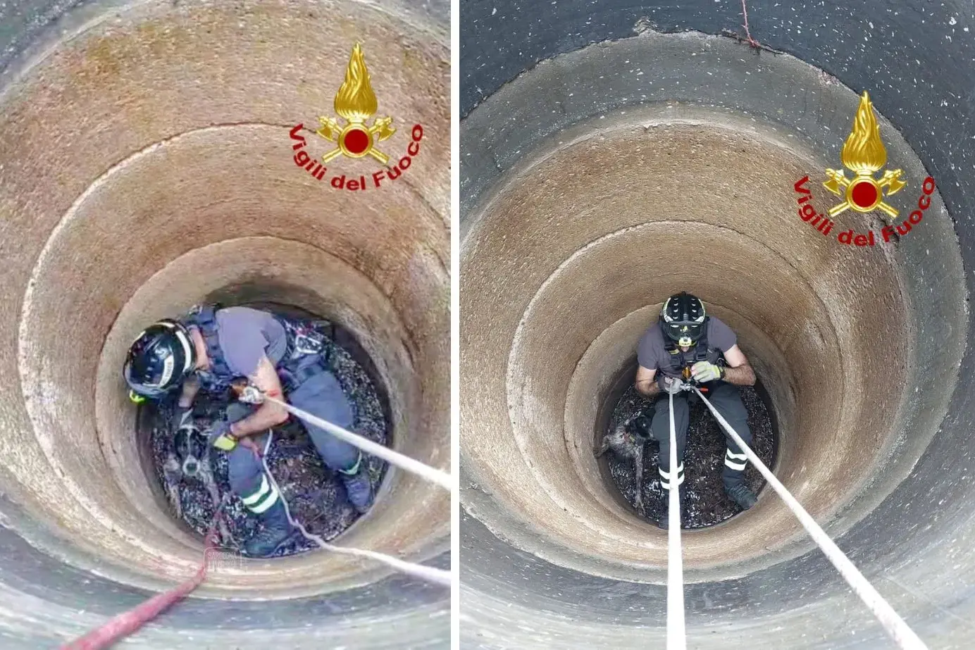 Benetutti. Cane cade in un pozzo: salvato dai Vigili del Fuoco