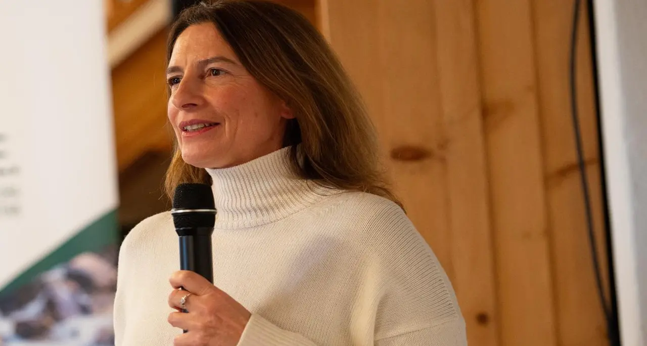 Ambiente, dalle foreste ai ghiacciai: studio sui servizi ecosistemici dell'Alta Valtellina