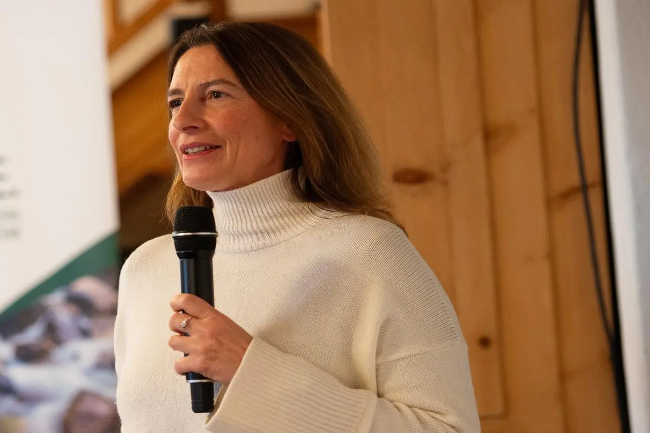 Ambiente, dalle foreste ai ghiacciai: studio sui servizi ecosistemici dell'Alta Valtellina