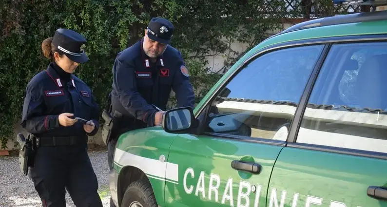 Animali esotici detenuti in condizioni precarie: sequestrato un negozio a Cagliari