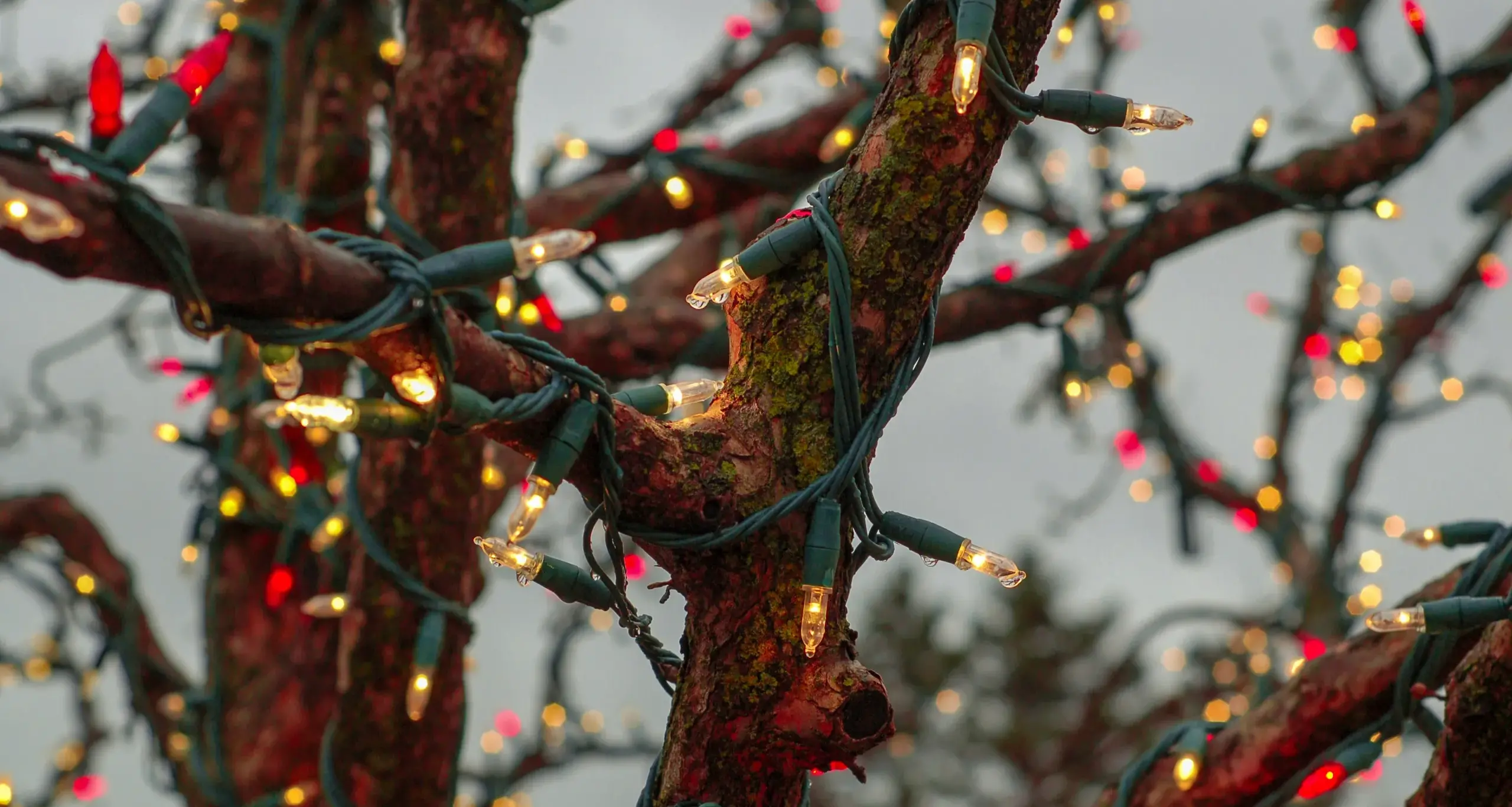 Maltempo in arrivo: Natale sotto la pioggia in Sardegna
