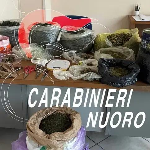 In casa laboratorio della droga: arrestato 28enne a Desulo