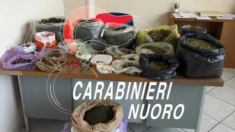 In casa laboratorio della droga: arrestato 28enne a Desulo