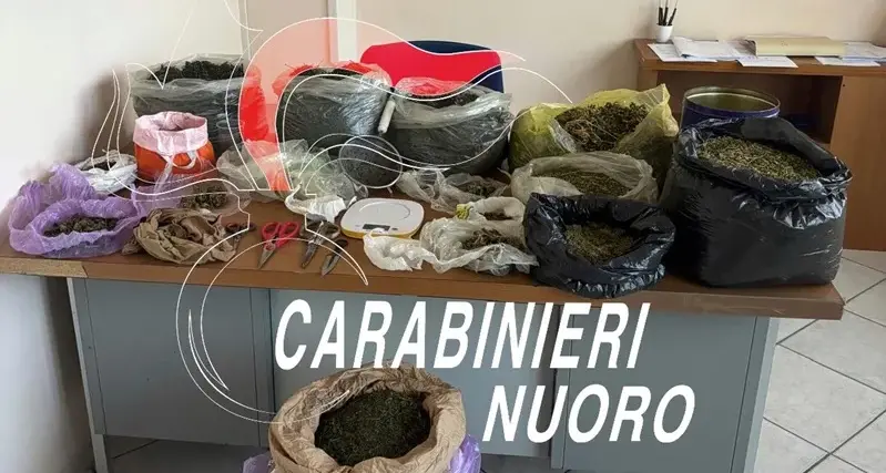 In casa laboratorio della droga: arrestato 28enne a Desulo