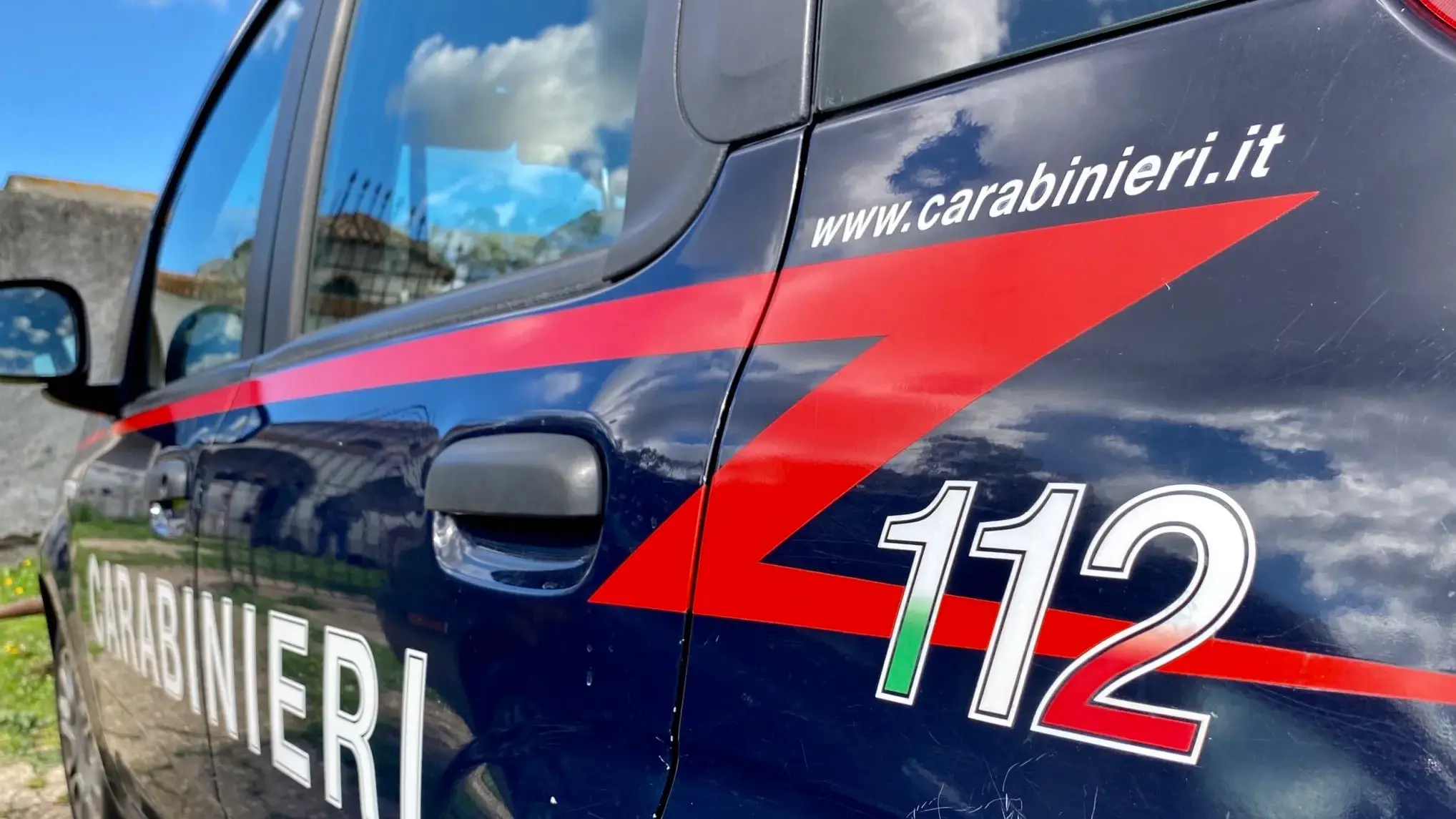 Orrore a Oliena: cane ucciso a calci nel giardino di casa, denunciato un uomo