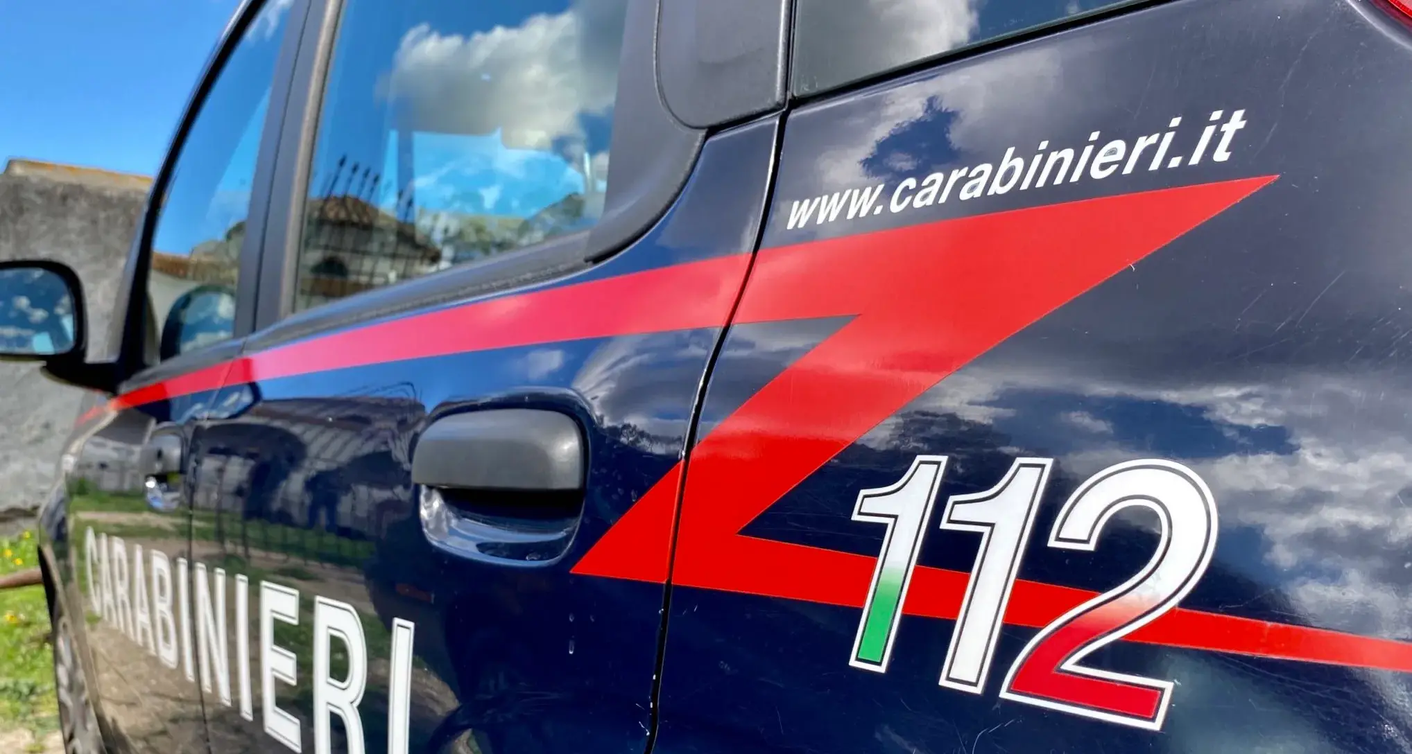 Orrore a Oliena: cane ucciso a calci nel giardino di casa, denunciato un uomo