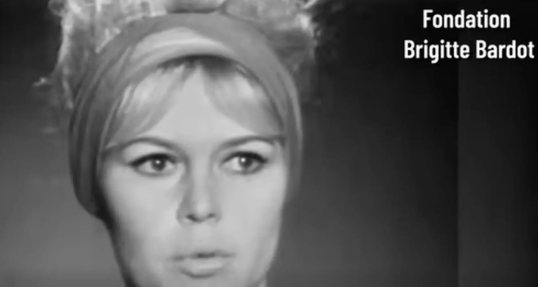 Addio a Brigitte Bardot, l'icona del cinema francese è morta a 91 anni