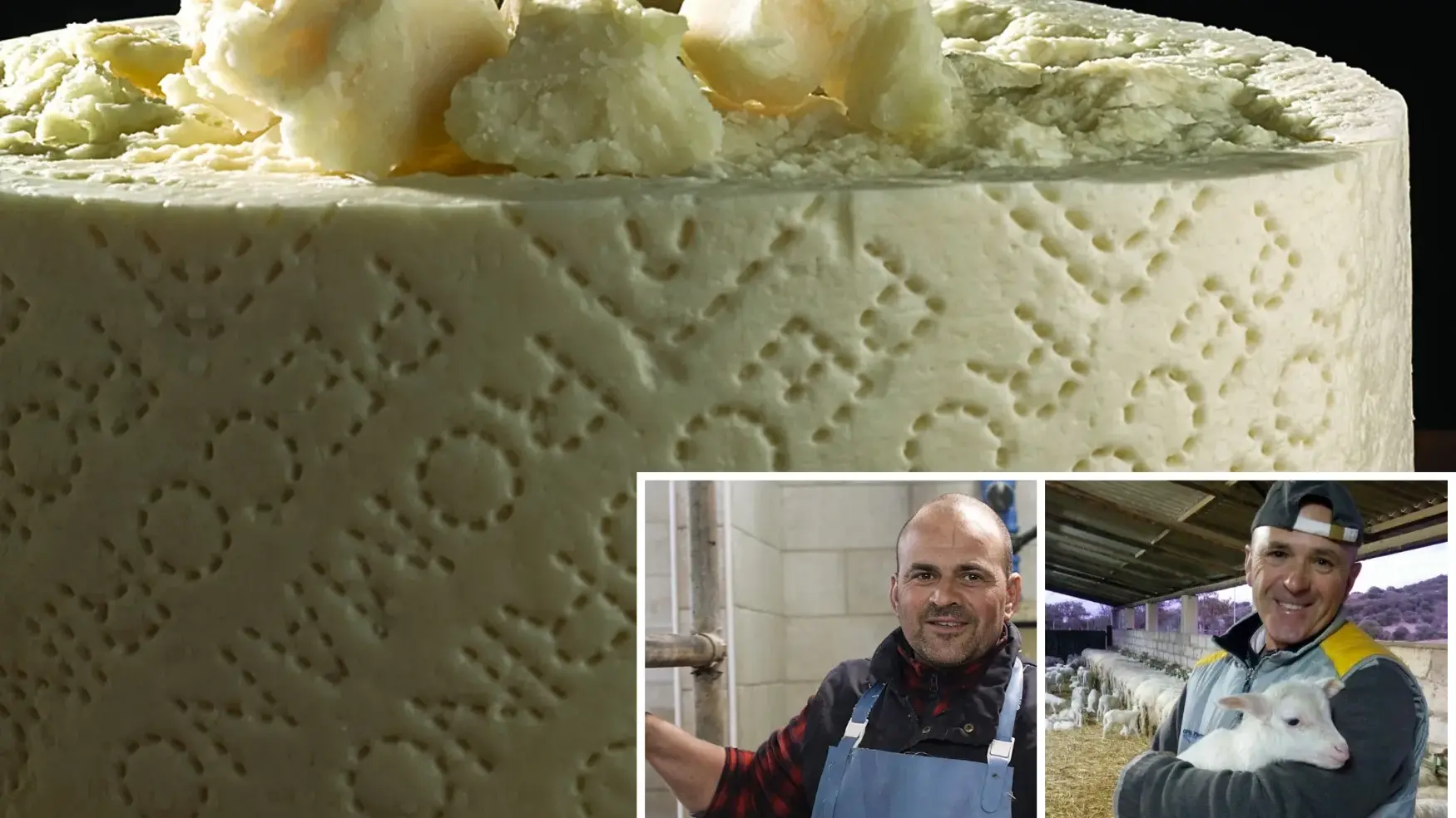 Pecorino Romano. Polemica degli allevatori sul disciplinare: \"Sia usato solo latte di pecore di razza sarda\"