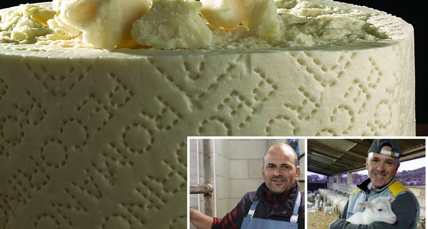 Pecorino Romano. Polemica degli allevatori sul disciplinare: \"Sia usato solo latte di pecore di razza sarda\"