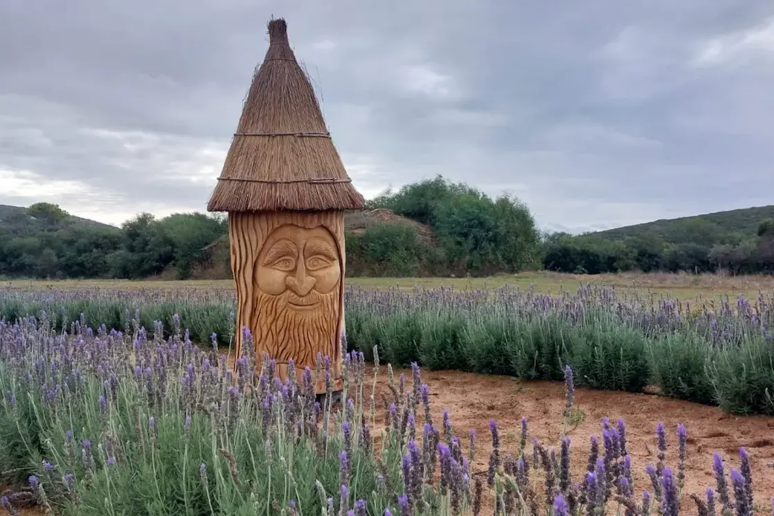 <p>Foto dal sito \"Bee Garden Alghero\"</p>\\n