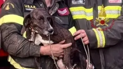 Cane intrappolato tra le rocce a Quartu, salvato dai Vigili del Fuoco