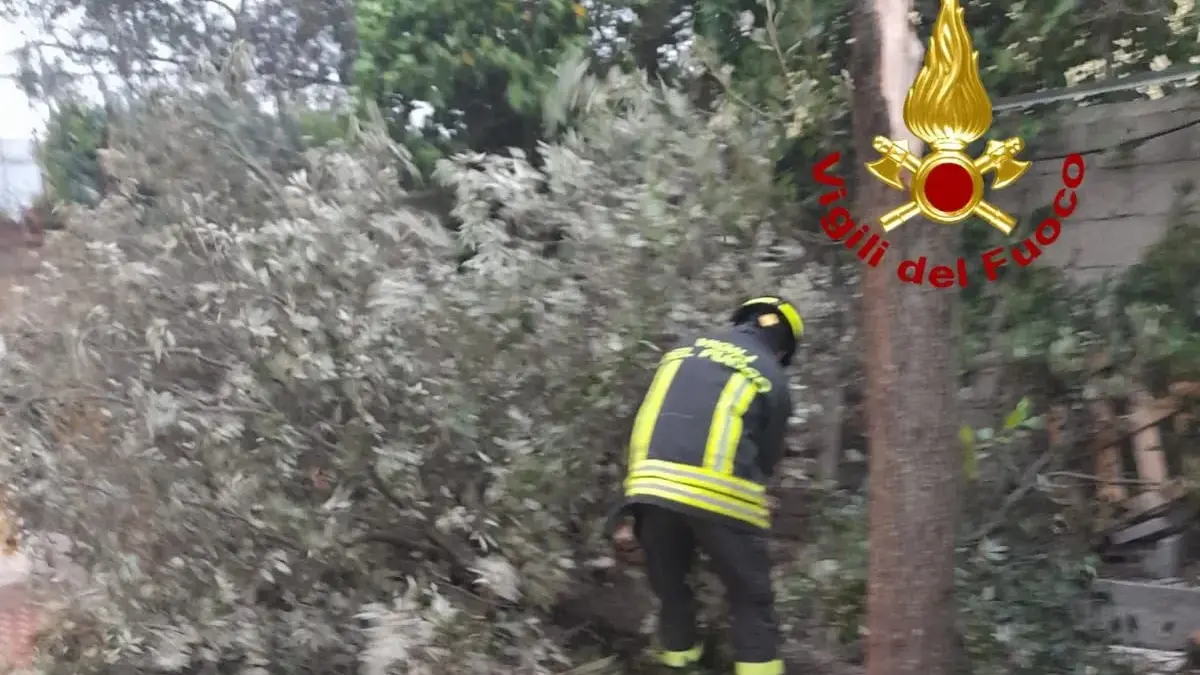 Maltempo. Vigili del Fuoco impegnati nel Nuorese: alberi caduti e cavi elettrici pericolanti