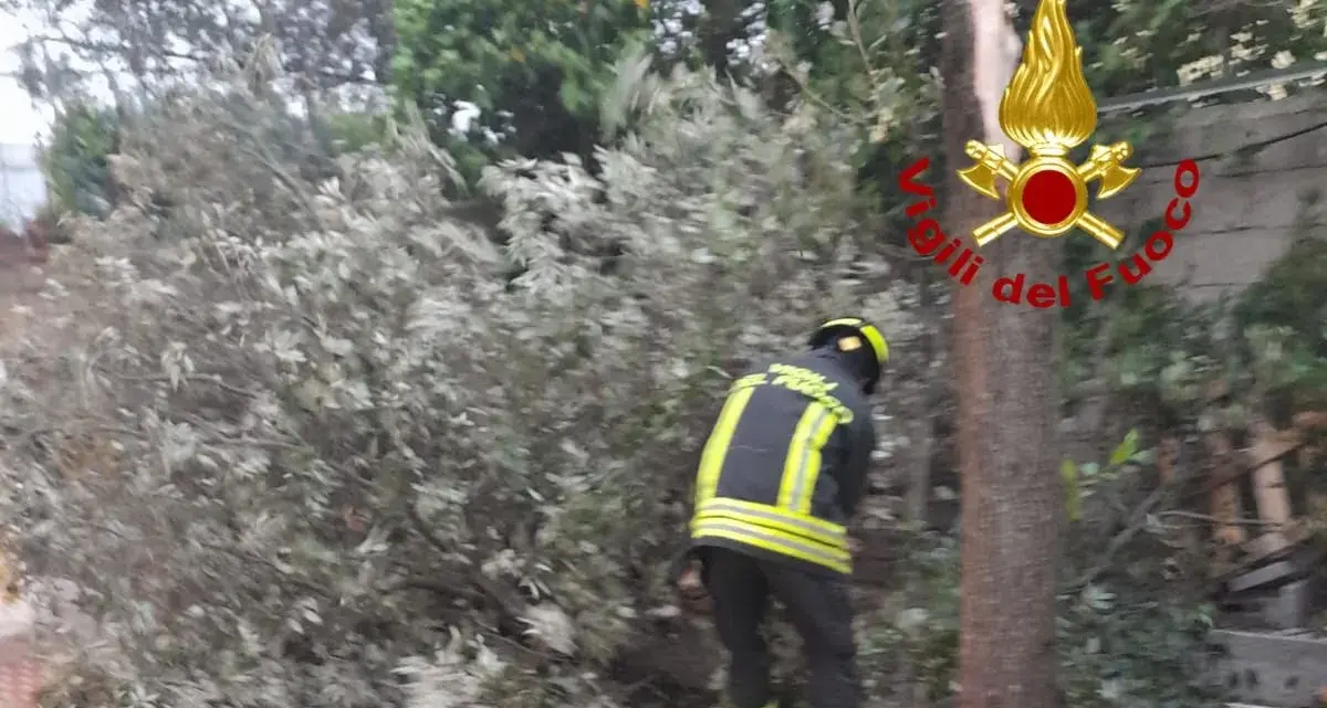 Maltempo. Vigili del Fuoco impegnati nel Nuorese: alberi caduti e cavi elettrici pericolanti