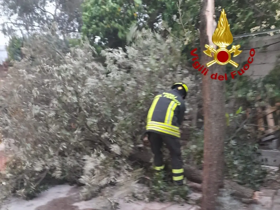 Maltempo tra Sardegna e Calabria, oltre 320 interventi dei vigili del fuoco in 24 ore