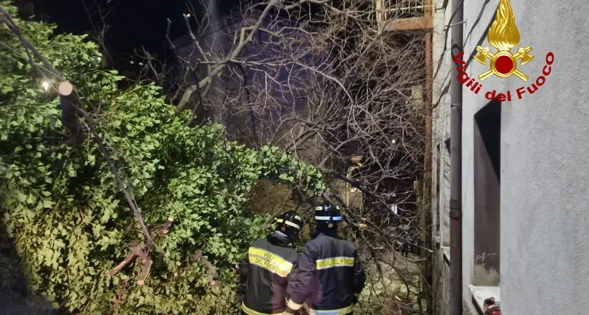 Maltempo in Sardegna, circa 200 interventi dei Vigili del fuoco in 24 ore