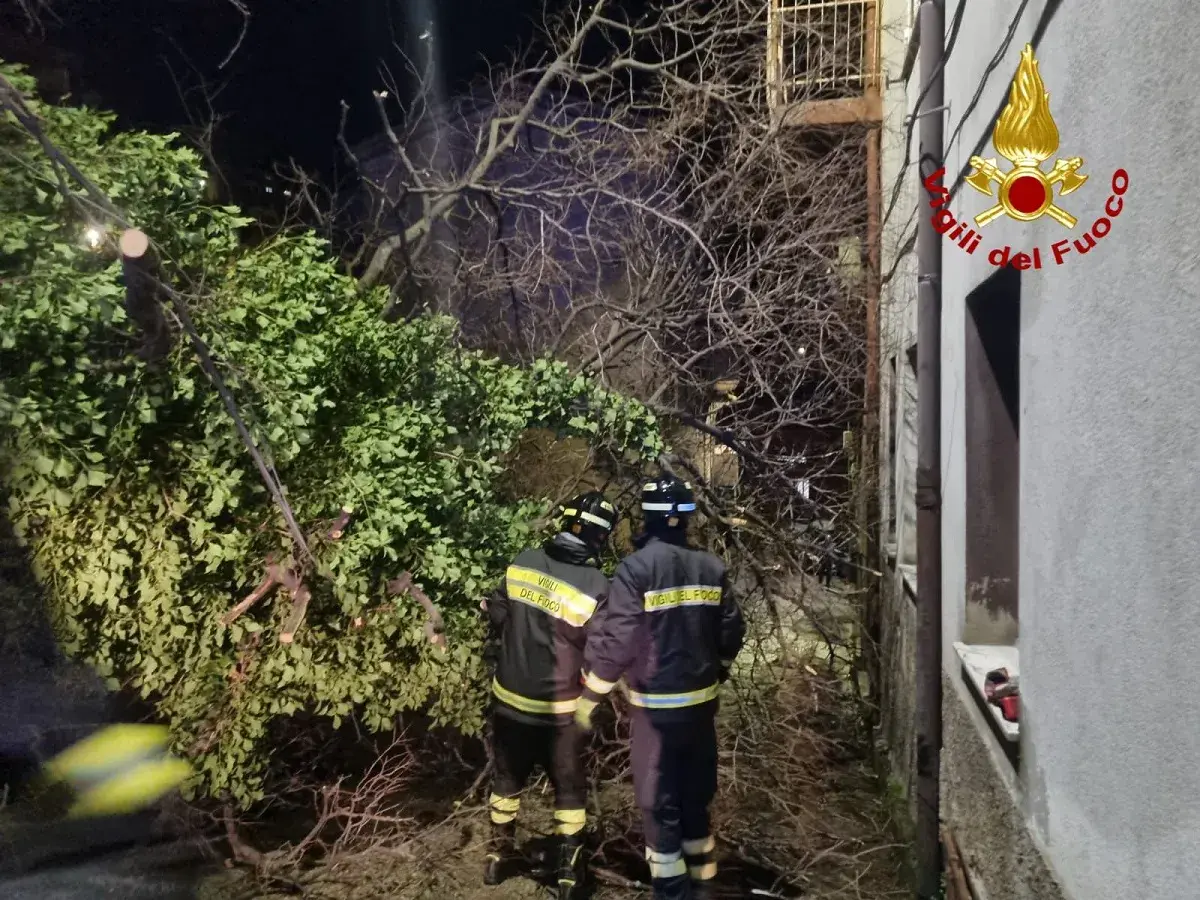 Maltempo in Sardegna, circa 200 interventi dei Vigili del fuoco in 24 ore