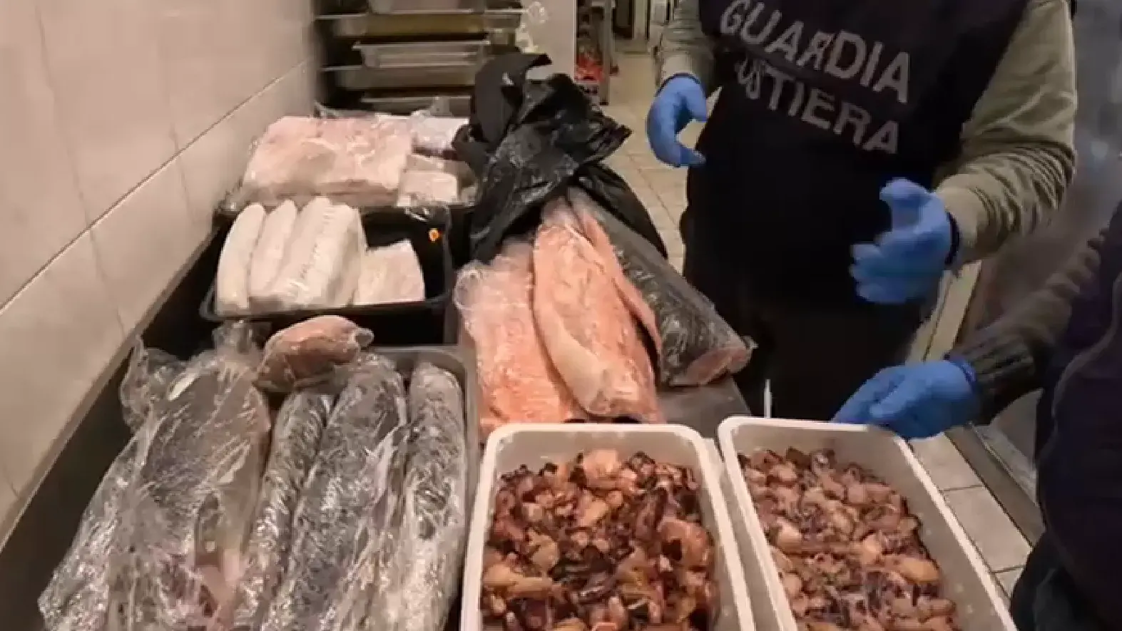 Pesce scaduto nei depositi tra Sassari e Nuoro: maxi operazione della Guardia Costiera