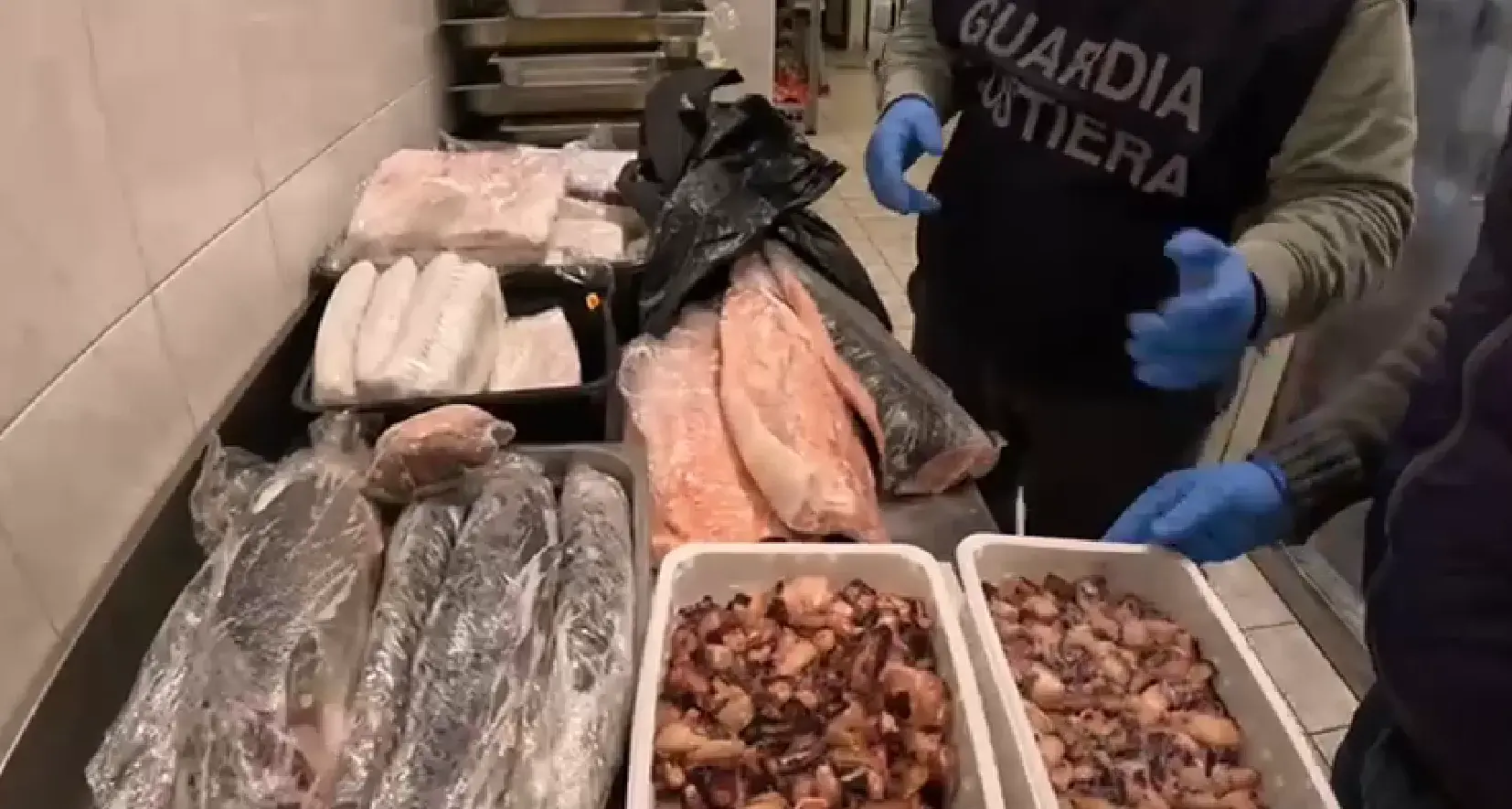 Pesce scaduto nei depositi tra Sassari e Nuoro: maxi operazione della Guardia Costiera