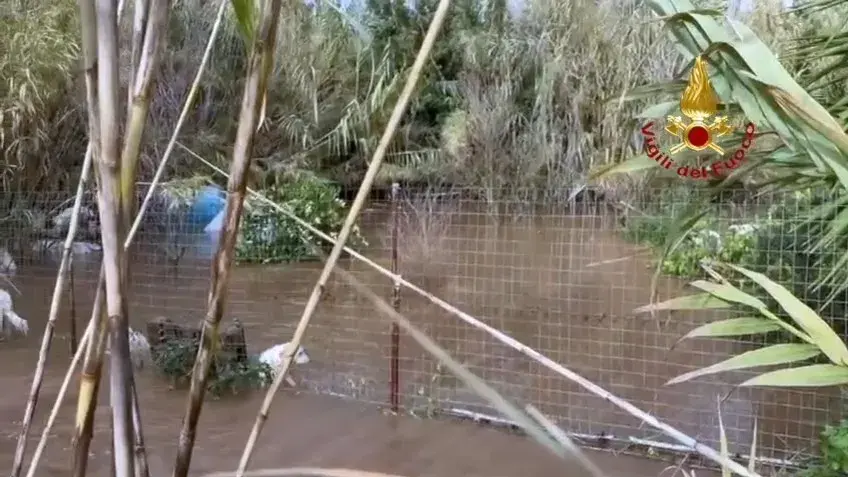 Maltempo. Cani in pericolo per la piena del Rio Piscinas, salvati dai Vigili del fuoco