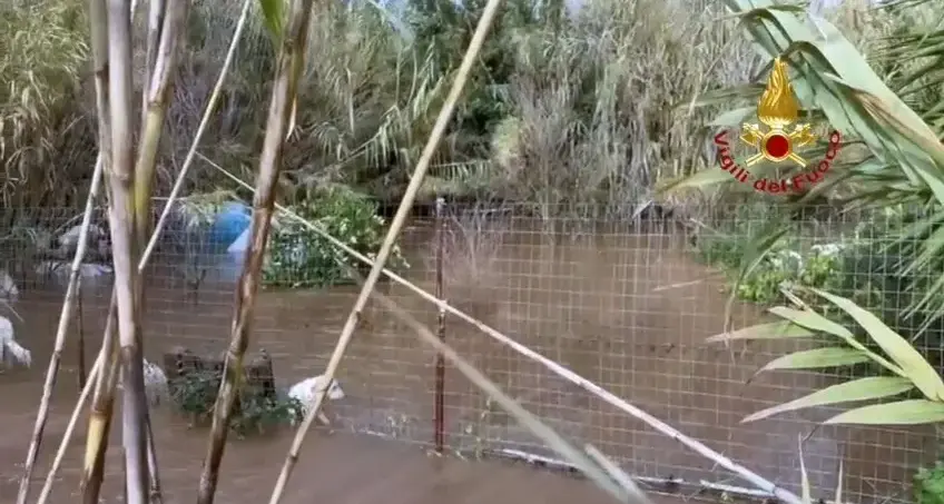 Cani in pericolo per la piena del Rio Piscinas, salvati dai Vigili del fuoco