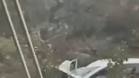 Maltempo. Tortolì, albero cade su auto in transito