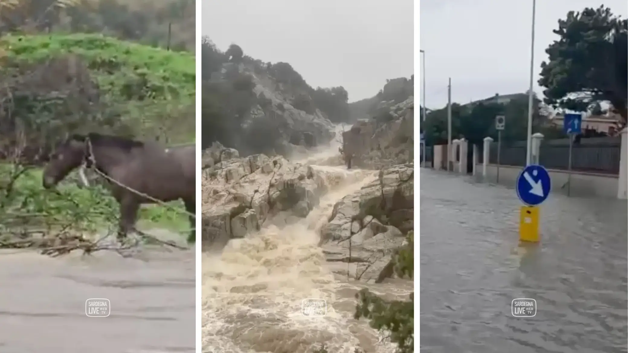 Piogge e criticità diffuse, Protezione Civile conferma i livelli di allerta per mercoledì 21