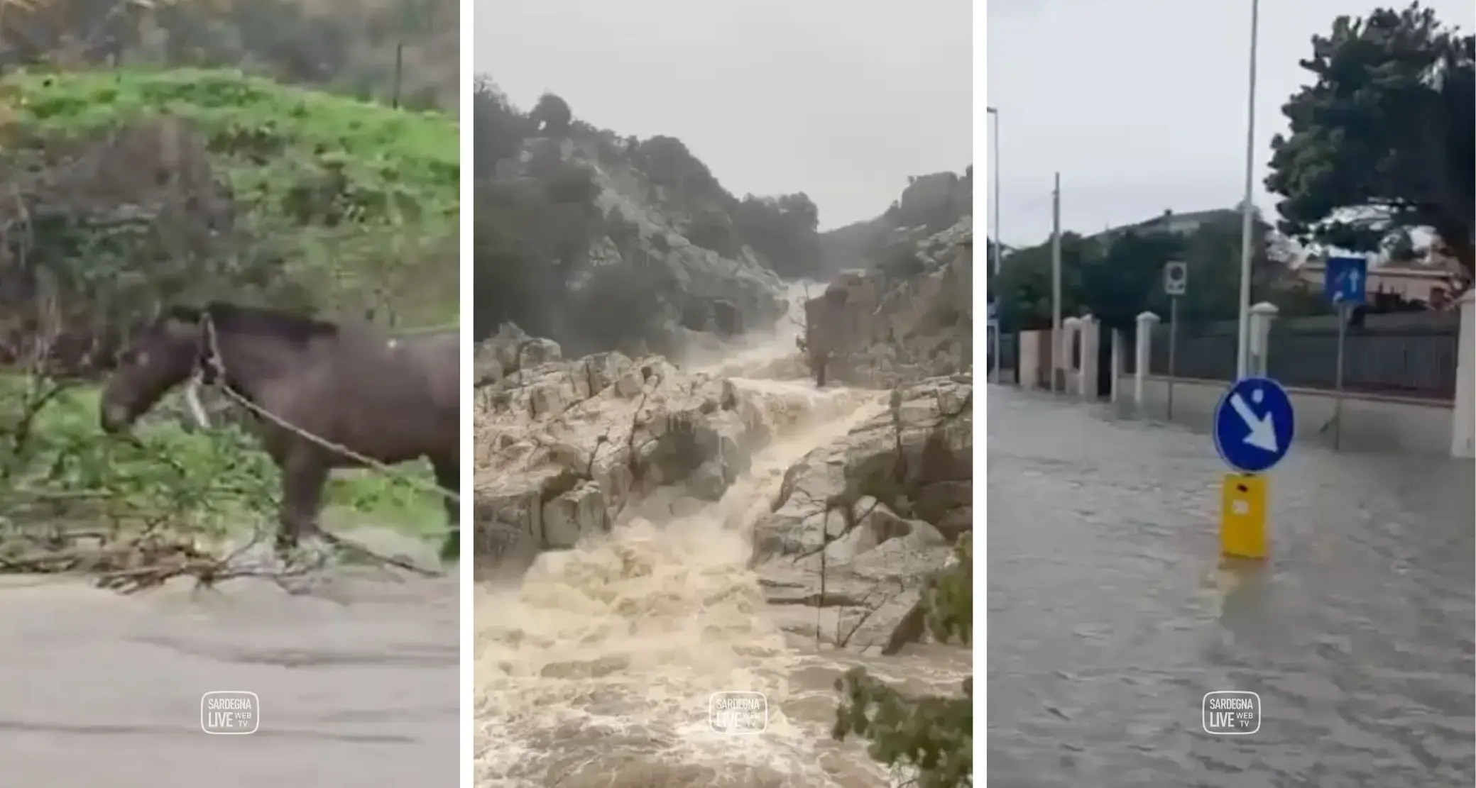 Piogge e criticità diffuse, Protezione Civile conferma i livelli di allerta per mercoledì 21