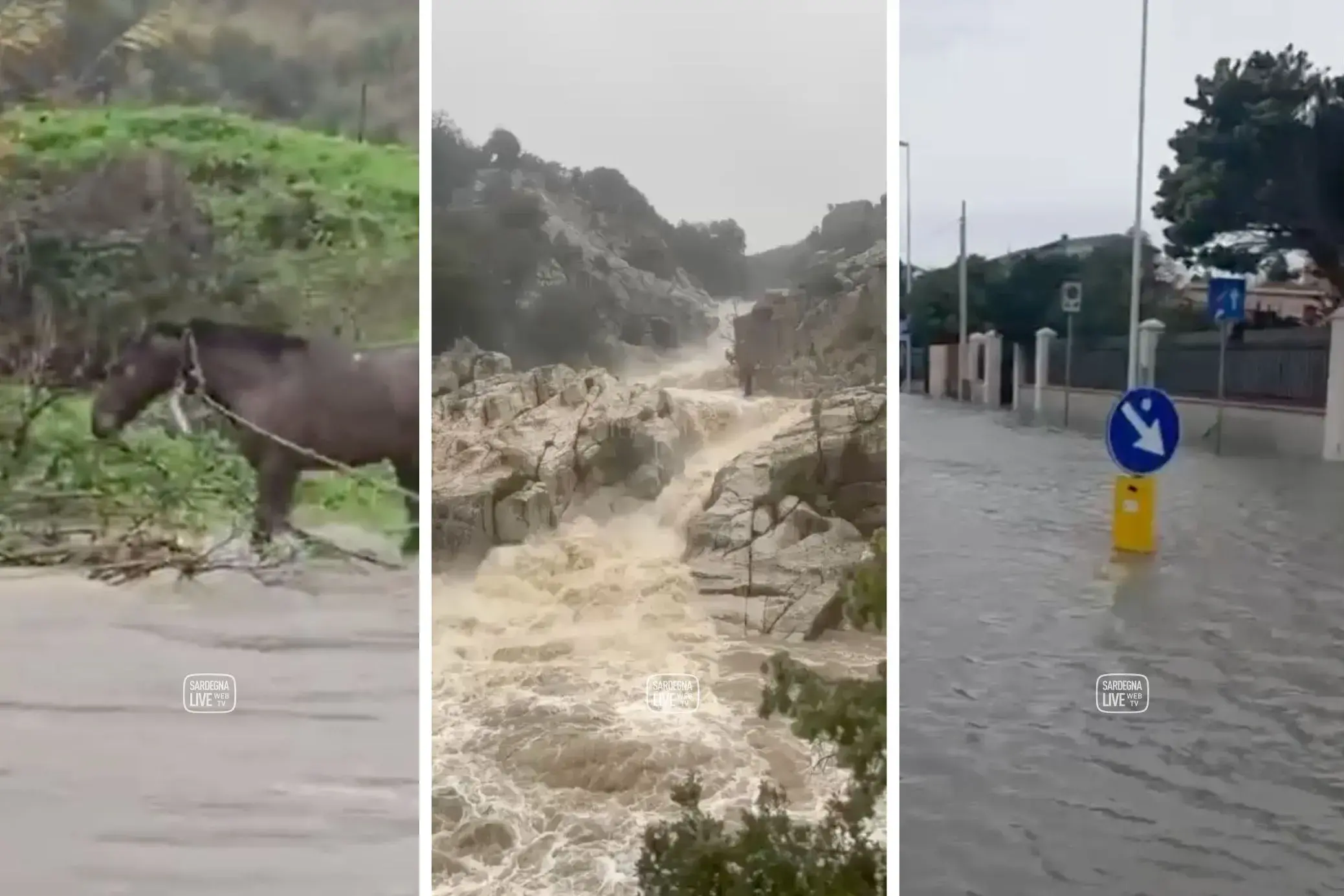 Piogge e criticità diffuse, Protezione Civile conferma i livelli di allerta per mercoledì 21