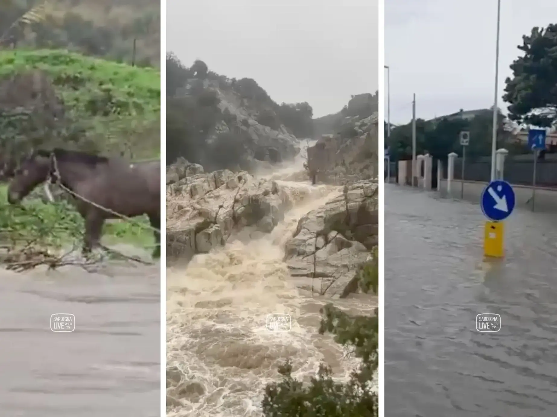 Piogge e criticità diffuse, Protezione Civile conferma i livelli di allerta per mercoledì 21
