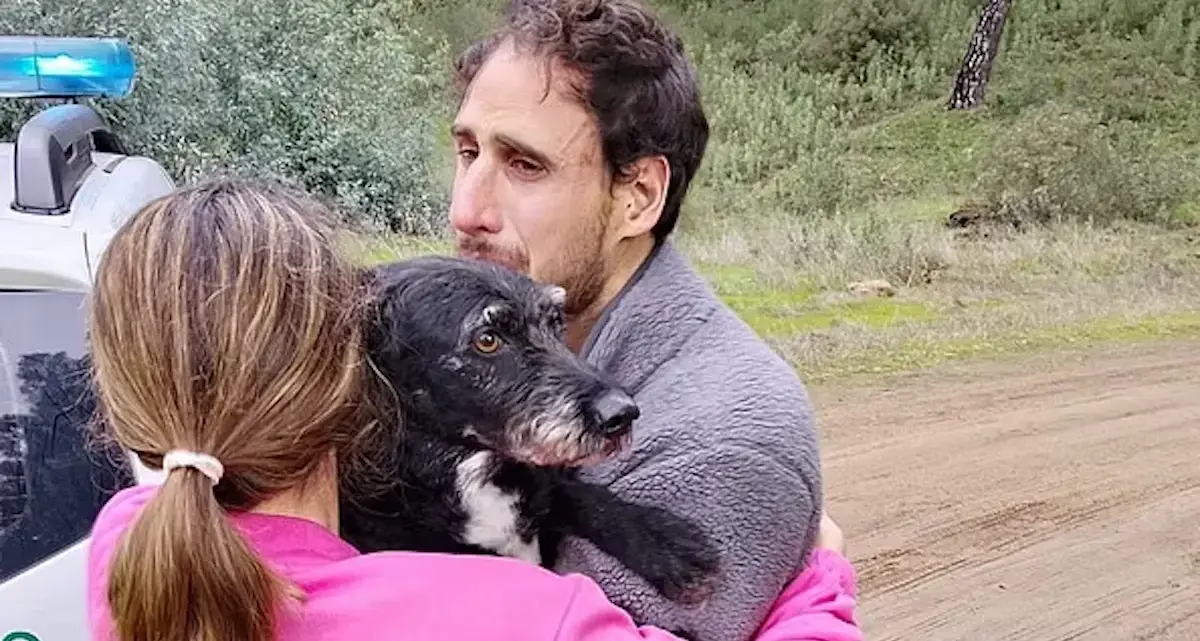 Ritrovato Boro, il cagnolino disperso dopo l'incidente ferroviario in Spagna