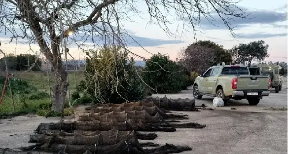 Lotta alla pesca abusiva dell'anguilla europea: sequestrati 30 bertovelli a Santa Giusta