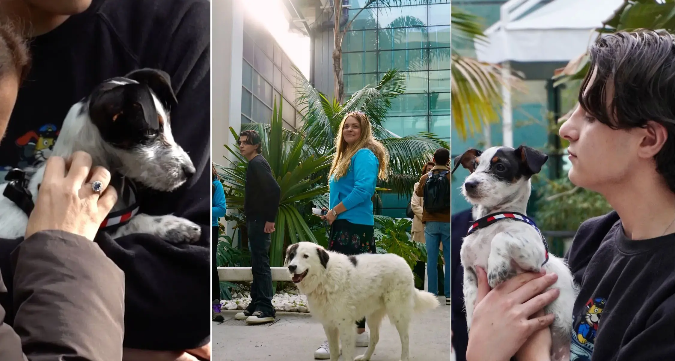 Viaggiare con gli amici a quattro zampe: inaugurata la Pet Area dell’aeroporto di Cagliari