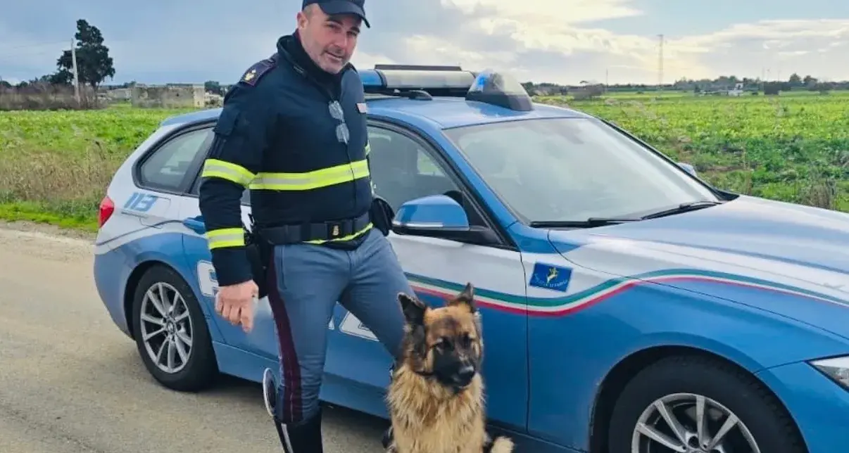 Pastore tedesco infreddolito e impaurito sulla statale 379: salvato dalla Polizia Stradale