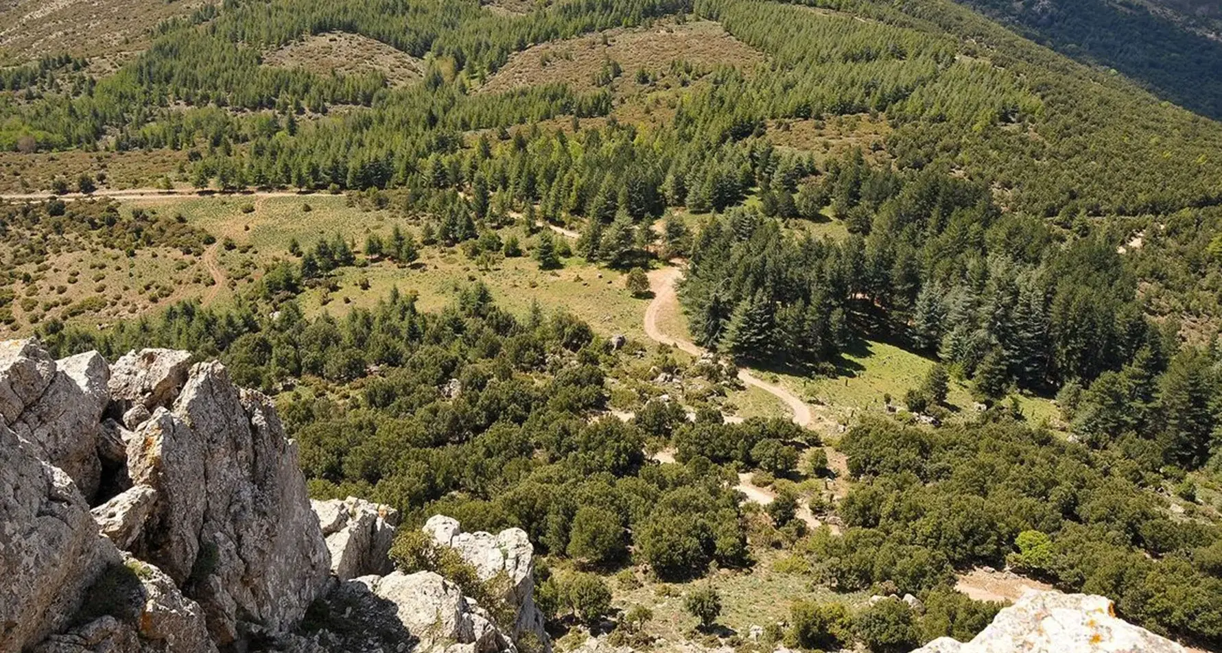 Comuni montani, appello al Governo: “La Sardegna non sia penalizzata”