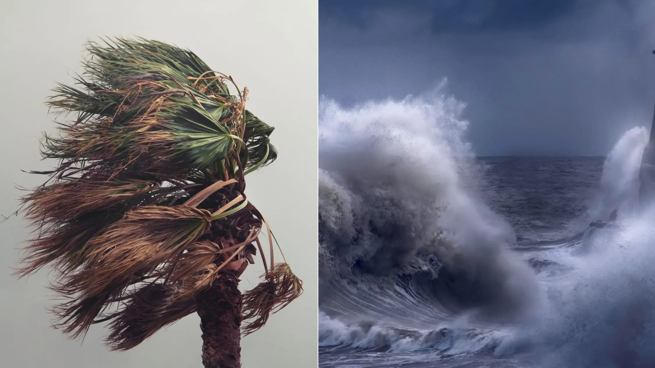 Vento forte e mareggiate sulla Sardegna: allerta fino al 29 gennaio