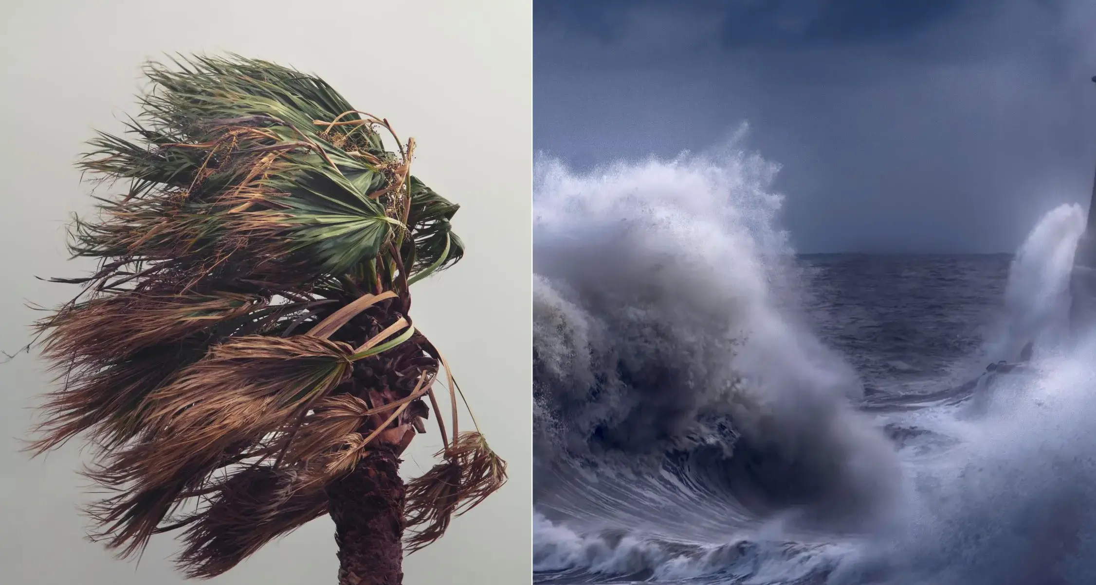 Vento forte e mareggiate sulla Sardegna: allerta fino al 29 gennaio