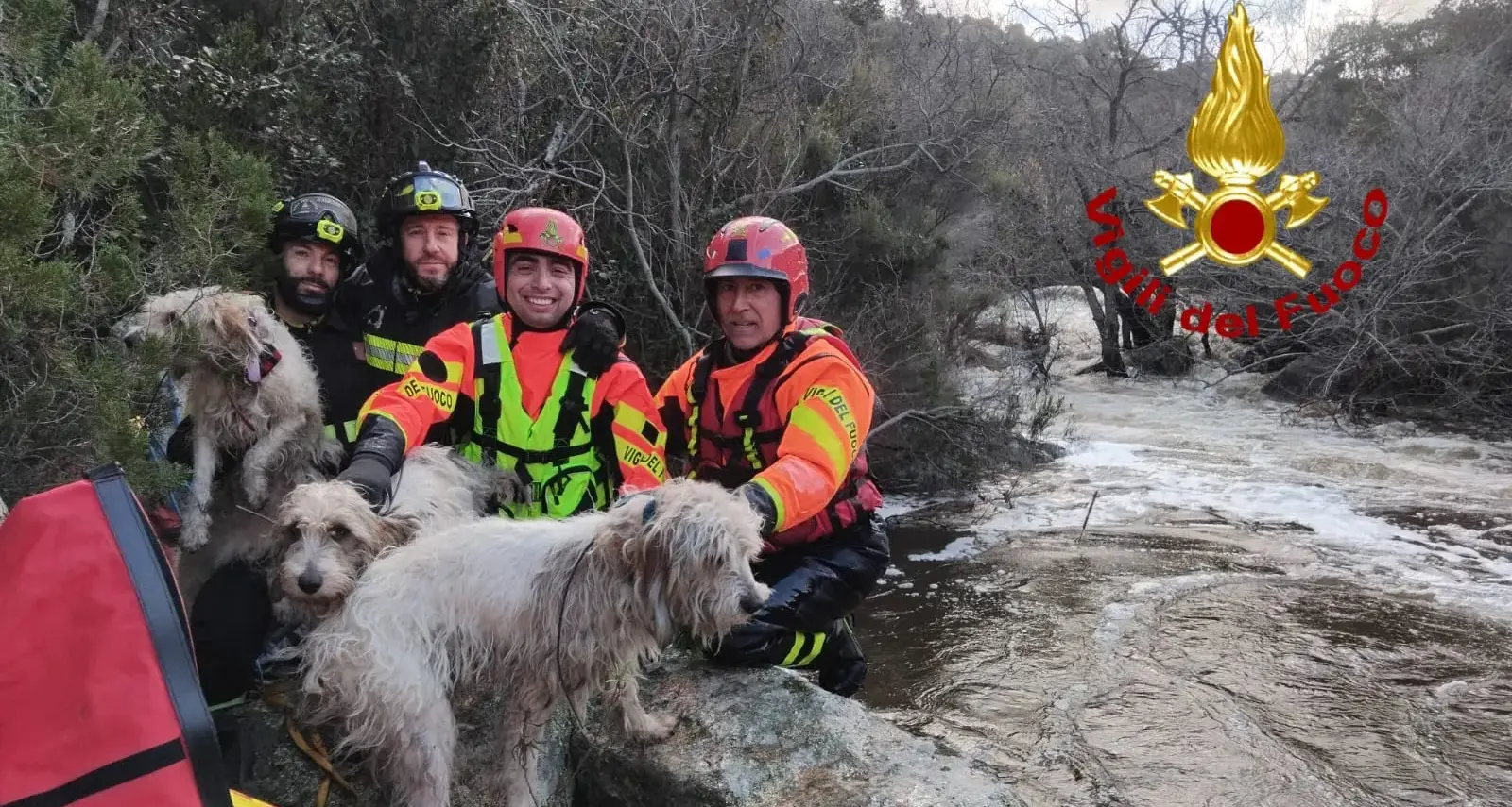 Tre cani intrappolati su un pendio ad Aggius salvati dai Vigili del fuoco