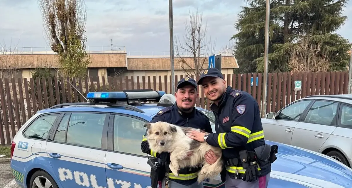 Il cane meticcio Leon, smarrito sull'A1, salvato dalla Polizia Stradale