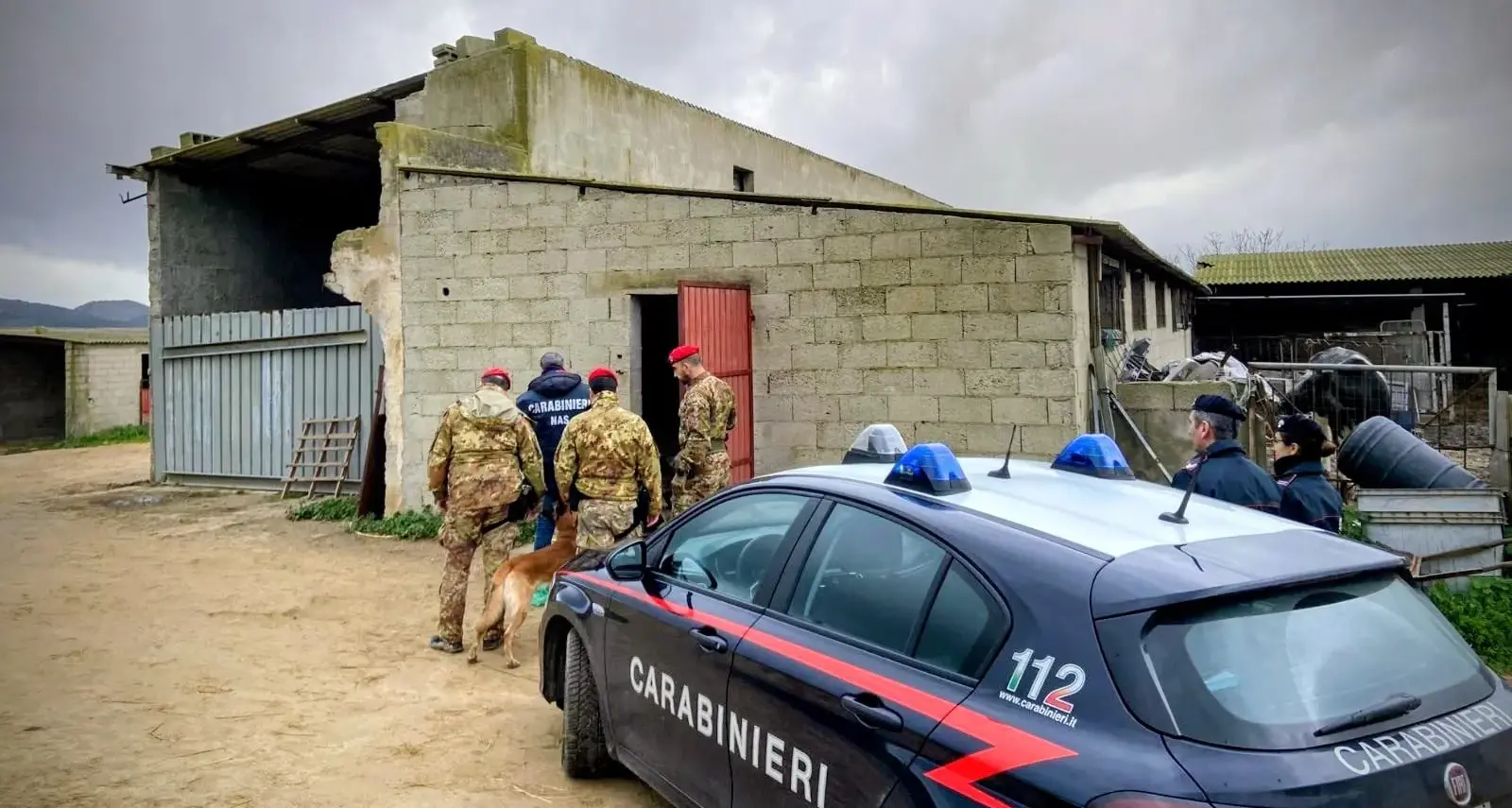 Blitz dei Carabinieri a Guasila: due arresti e oltre un chilo di droga sequestrata