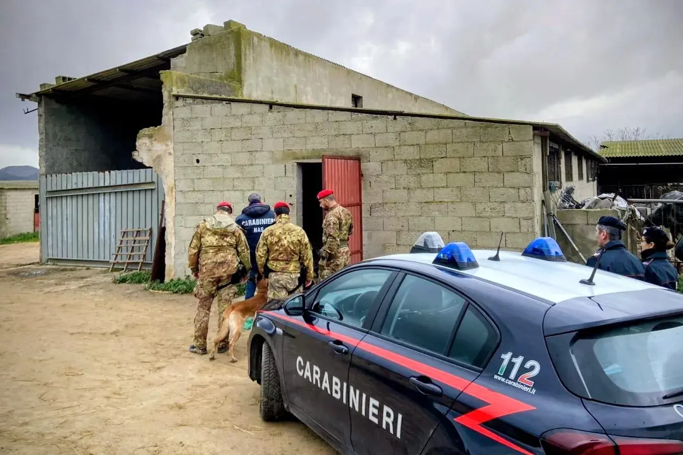 Blitz dei Carabinieri a Guasila: due arresti e oltre un chilo di droga sequestrata