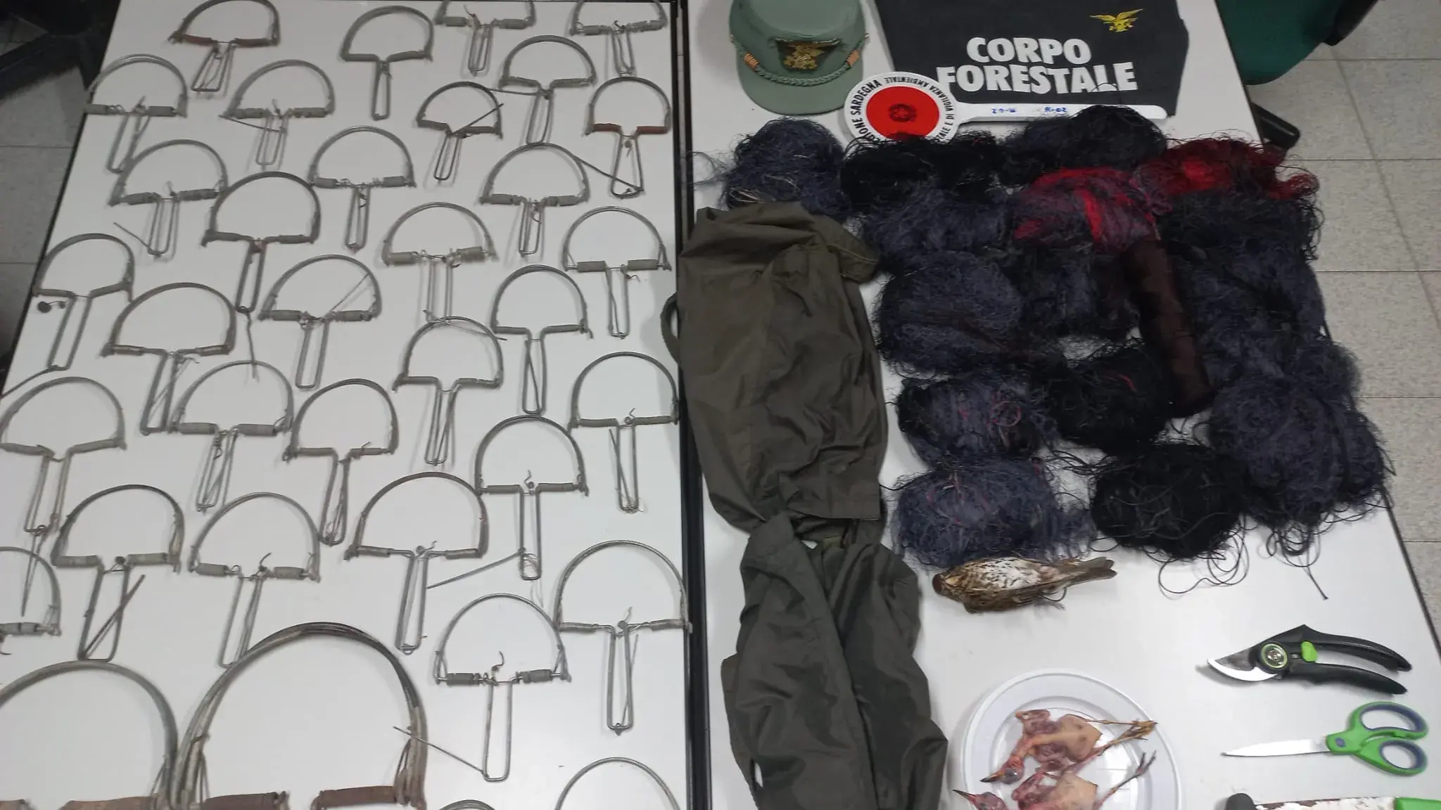 Uccellagione nelle campagne tra Maracalagonis e Quartucciu: pensionato colto in flagranza