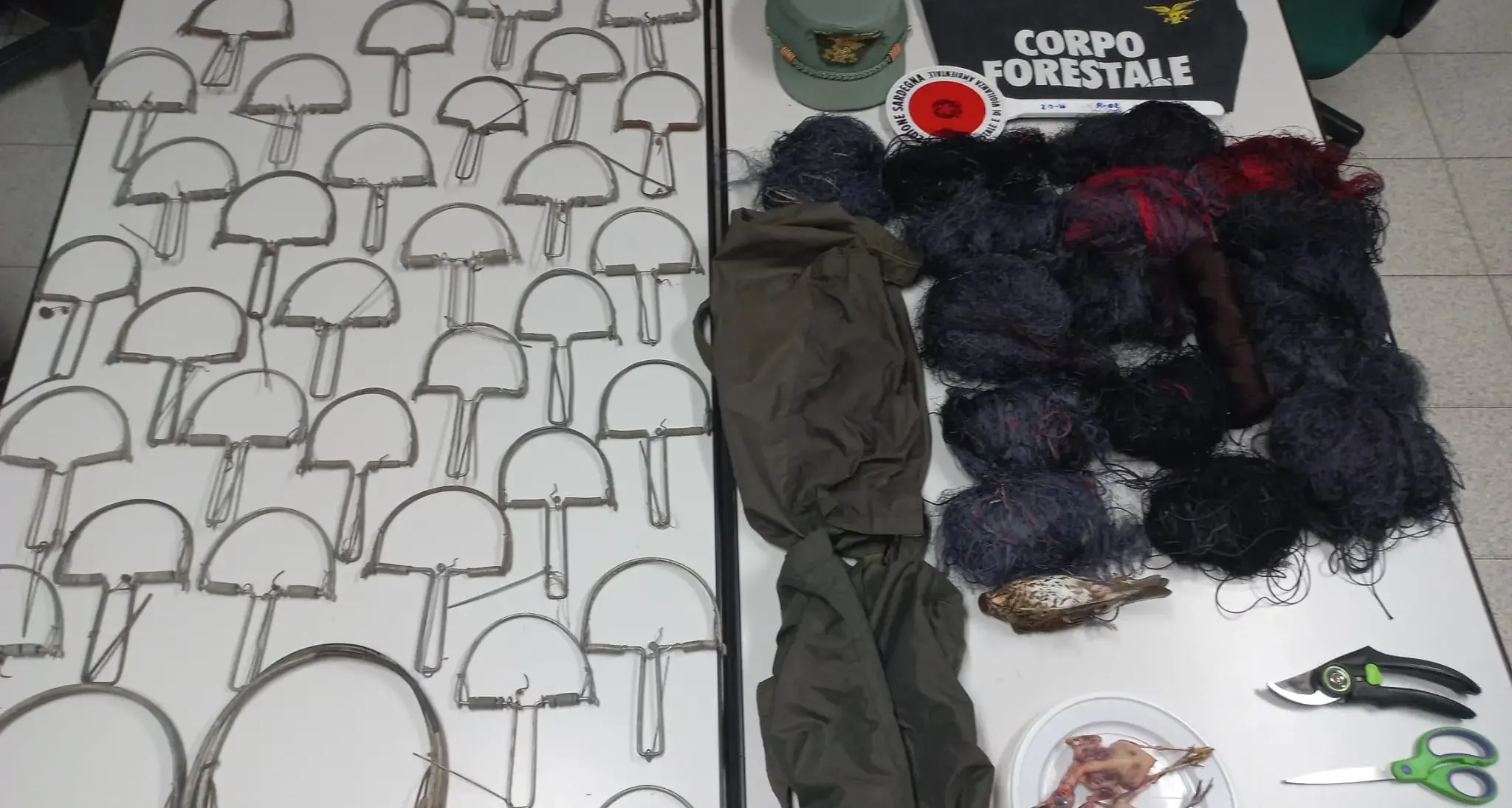 Uccellagione nelle campagne tra Maracalagonis e Quartucciu: pensionato colto in flagranza